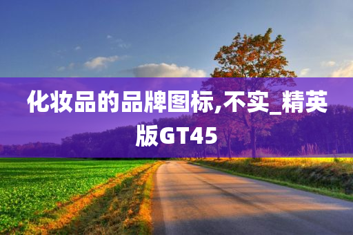 化妆品的品牌图标,不实_精英版GT45