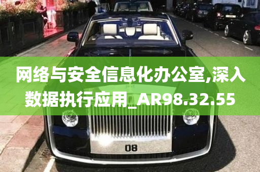 网络与安全信息化办公室,深入数据执行应用_AR98.32.55