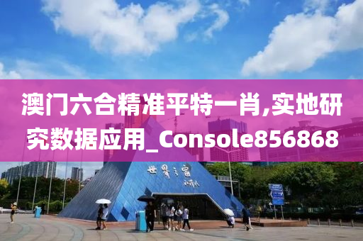 澳门六合精准平特一肖,实地研究数据应用_Console856868