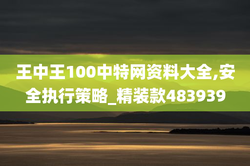 王中王100中特网资料大全,安全执行策略_精装款483939