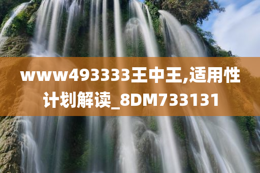 www493333王中王,适用性计划解读_8DM733131