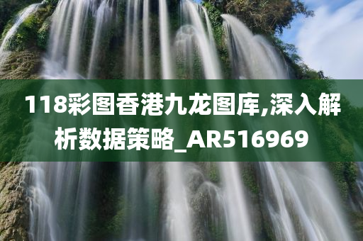 118彩图香港九龙图库,深入解析数据策略_AR516969