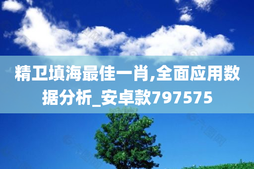 精卫填海最佳一肖,全面应用数据分析_安卓款797575