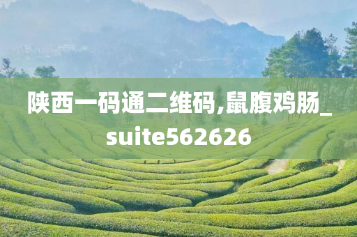 陕西一码通二维码,鼠腹鸡肠_suite562626