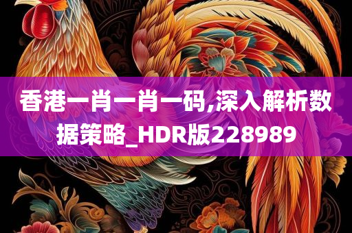 香港一肖一肖一码,深入解析数据策略_HDR版228989