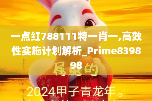 一点红788111特一肖一,高效性实施计划解析_Prime839898