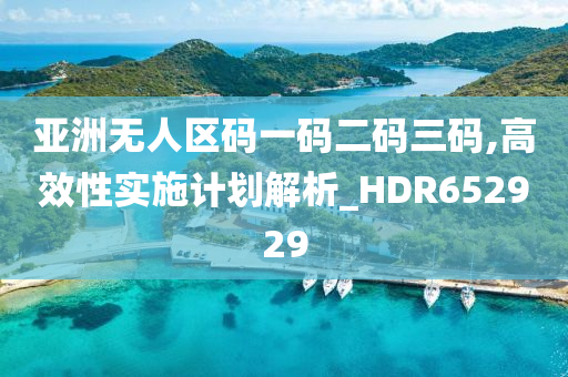 亚洲无人区码一码二码三码,高效性实施计划解析_HDR652929