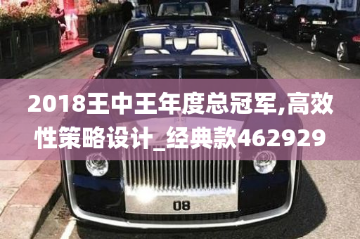 2018王中王年度总冠军,高效性策略设计_经典款462929