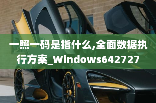 一照一码是指什么,全面数据执行方案_Windows642727