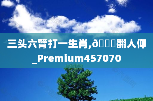 三头六臂打一生肖,🐎翻人仰_Premium457070