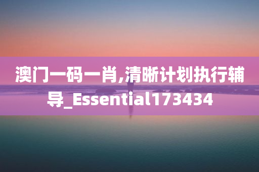 澳门一码一肖,清晰计划执行辅导_Essential173434