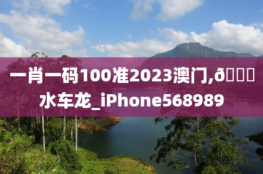 一肖一码100准2023澳门,🐎水车龙_iPhone568989