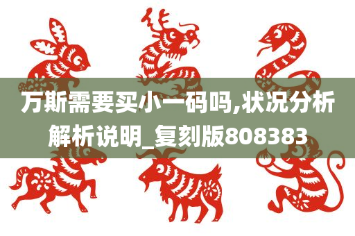 万斯需要买小一码吗,状况分析解析说明_复刻版808383