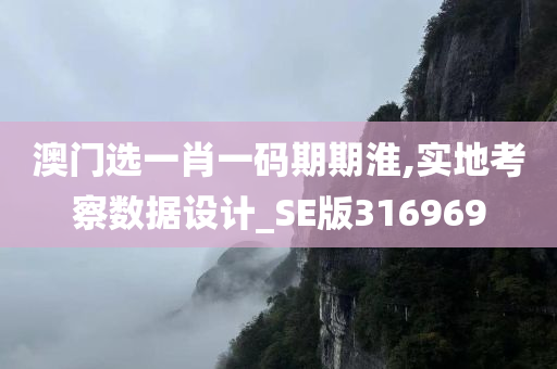 澳门选一肖一码期期淮,实地考察数据设计_SE版316969