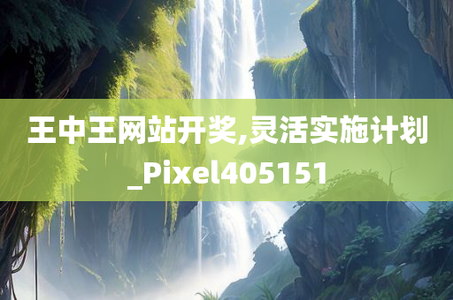 王中王网站开奖,灵活实施计划_Pixel405151