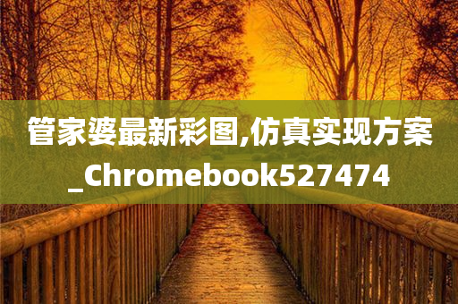 管家婆最新彩图,仿真实现方案_Chromebook527474