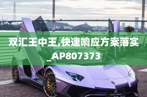 双汇王中王,快速响应方案落实_AP807373