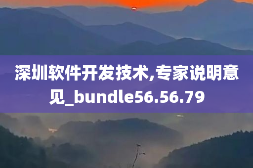 深圳软件开发技术,专家说明意见_bundle56.56.79