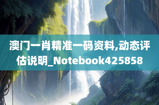 澳门一肖精准一码资料,动态评估说明_Notebook425858