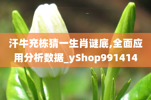 汗牛充栋猜一生肖谜底,全面应用分析数据_yShop991414