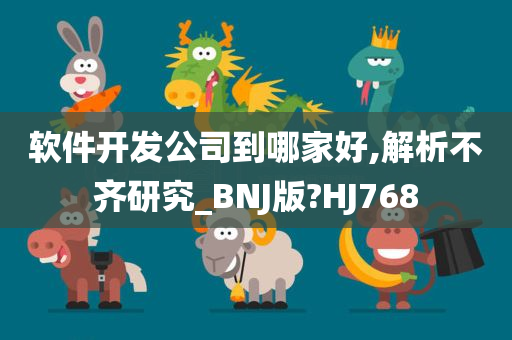 软件开发公司到哪家好,解析不齐研究_BNJ版?HJ768