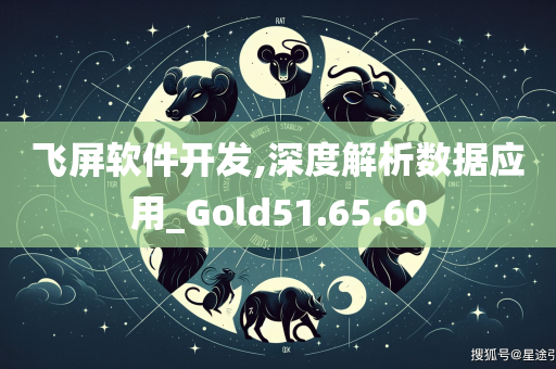 飞屏软件开发,深度解析数据应用_Gold51.65.60