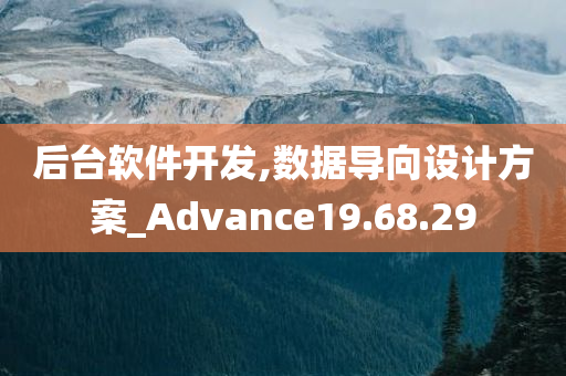 后台软件开发,数据导向设计方案_Advance19.68.29