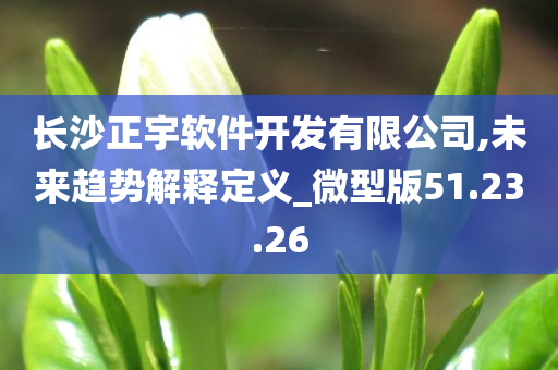 长沙正宇软件开发有限公司,未来趋势解释定义_微型版51.23.26