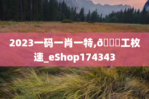 2023一码一肖一特,🐎工枚速_eShop174343