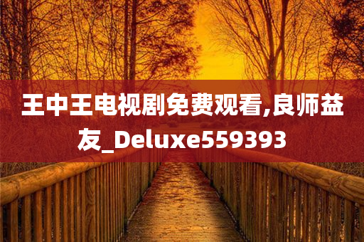 王中王电视剧免费观看,良师益友_Deluxe559393