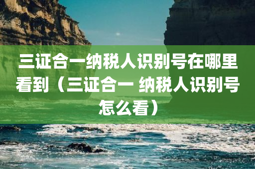 三证合一纳税人识别号在哪里看到（三证合一 纳税人识别号怎么看）