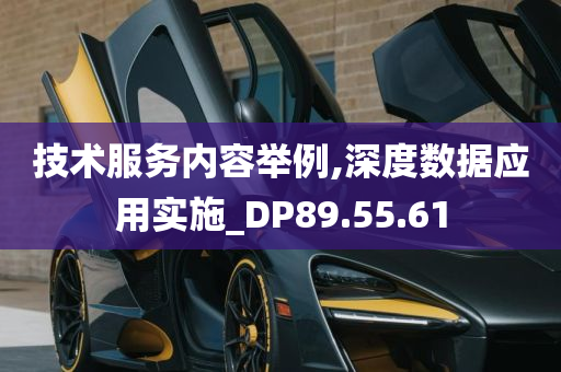 技术服务内容举例,深度数据应用实施_DP89.55.61