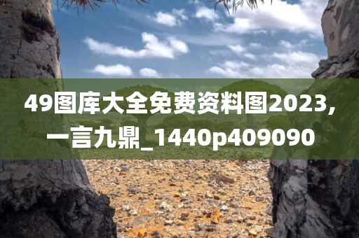 49图库大全免费资料图2023,一言九鼎_1440p409090