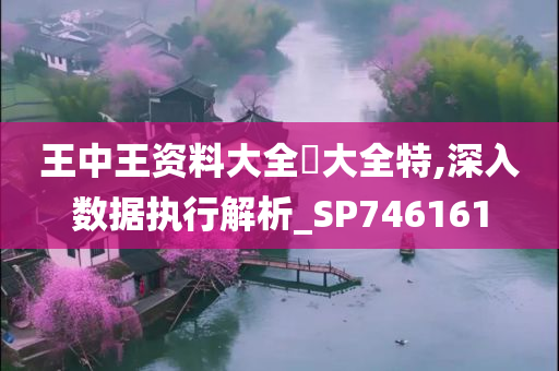 王中王资料大全枓大全特,深入数据执行解析_SP746161