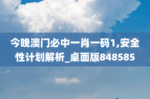 今晚澳门必中一肖一码1,安全性计划解析_桌面版848585