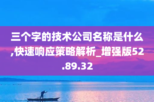 三个字的技术公司名称是什么,快速响应策略解析_增强版52.89.32