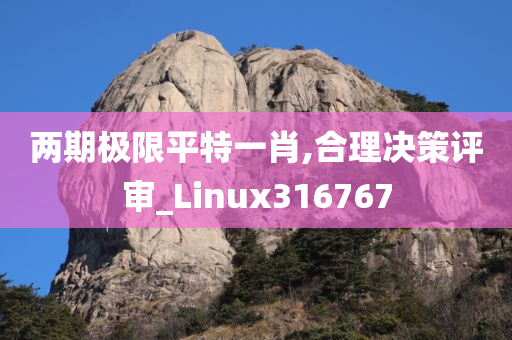 两期极限平特一肖,合理决策评审_Linux316767