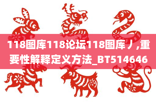 118图库118论坛118图库丿,重要性解释定义方法_BT514646