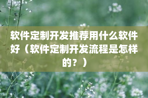 软件定制开发推荐用什么软件好（软件定制开发流程是怎样的？）