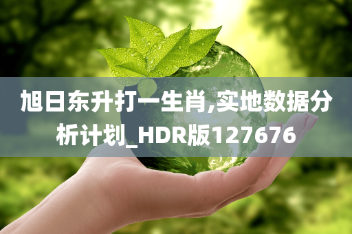 旭日东升打一生肖,实地数据分析计划_HDR版127676