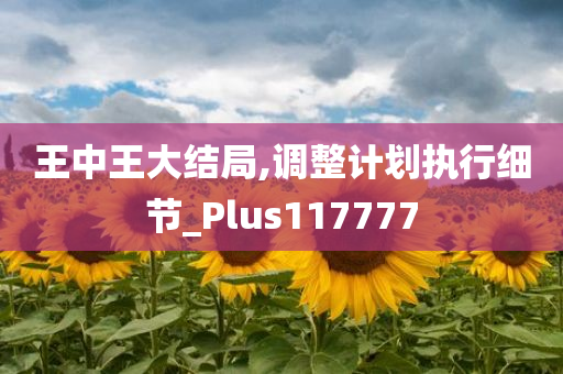 王中王大结局,调整计划执行细节_Plus117777