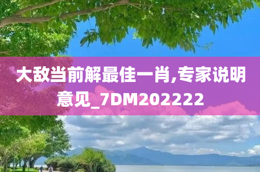 大敌当前解最佳一肖,专家说明意见_7DM202222