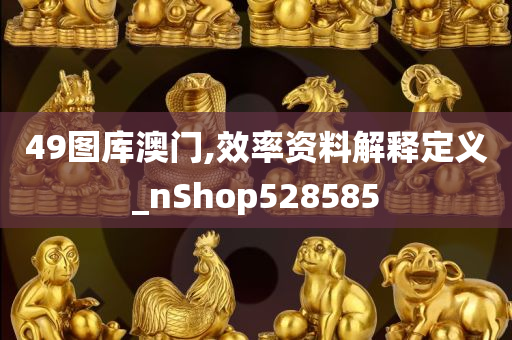 49图库澳门,效率资料解释定义_nShop528585