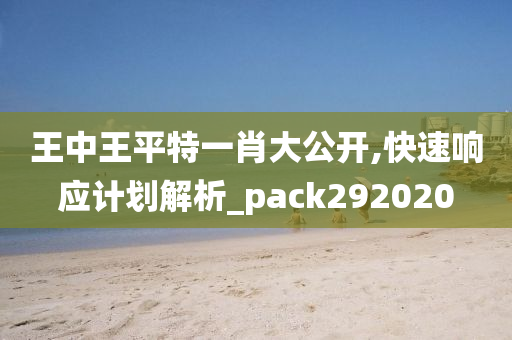 王中王平特一肖大公开,快速响应计划解析_pack292020