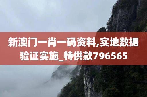 新澳门一肖一码资料,实地数据验证实施_特供款796565