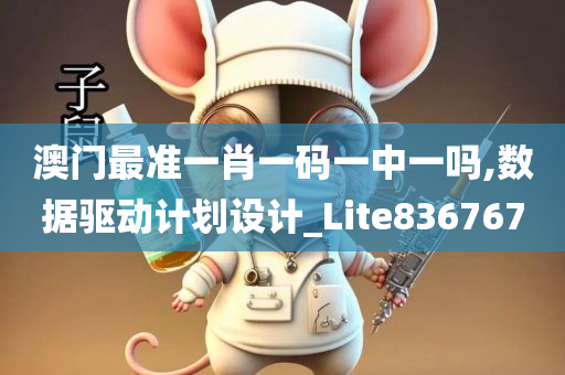 澳门最准一肖一码一中一吗,数据驱动计划设计_Lite836767