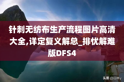 针刺无纺布生产流程图片高清大全,详定复义解总_排忧解难版DFS4