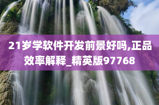 21岁学软件开发前景好吗,正品效率解释_精英版97768