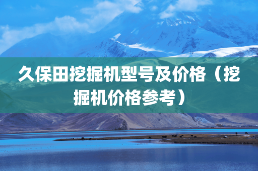 久保田挖掘机型号及价格（挖掘机价格参考）