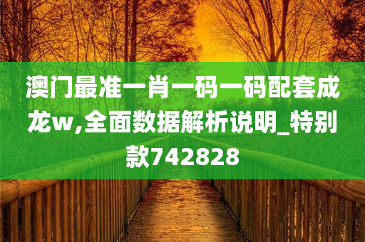 澳门最准一肖一码一码配套成龙w,全面数据解析说明_特别款742828